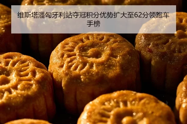 维斯塔潘匈牙利站夺冠积分优势扩大至62分领跑车手榜