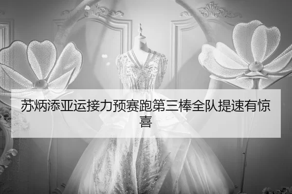 su-bing-tian-ya-yun-jie-li-yu-sai-pao-di-san-bang-quan-dui-ti-su-you-jing-xi-3-487.jpg