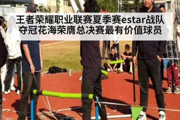 王者荣耀职业联赛夏季赛estar战队夺冠花海荣膺总决赛最有价值球员